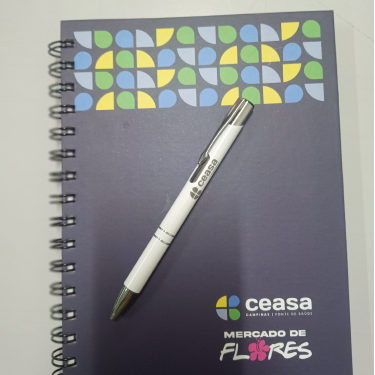 projeto 4 (3)